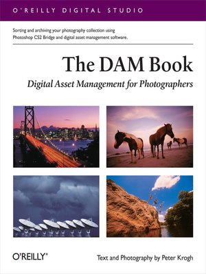 cover image of The DAM Book